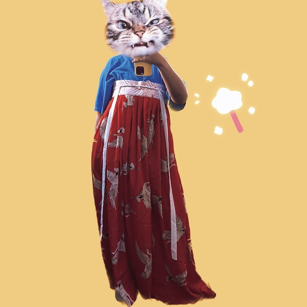 Traditional Chinese Dress
